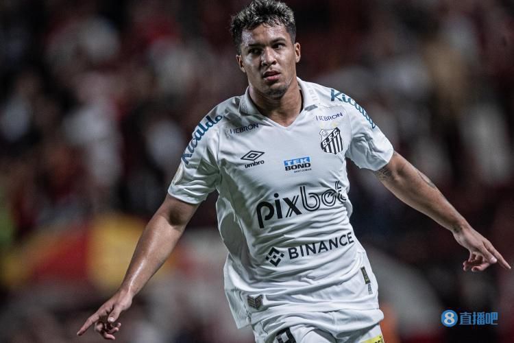 狼群社区视频免费观看高清版