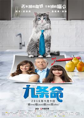 怎么升级驱动