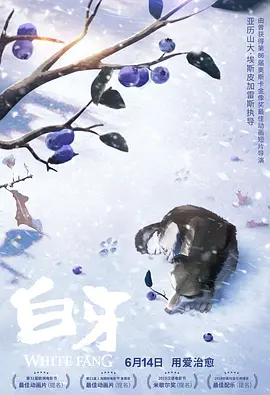 福利在线观看视频