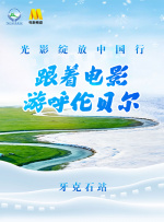 欧美成人v视频免费看
