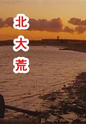 日韩免费一级毛片