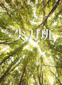 亚洲欧美精品在线观看